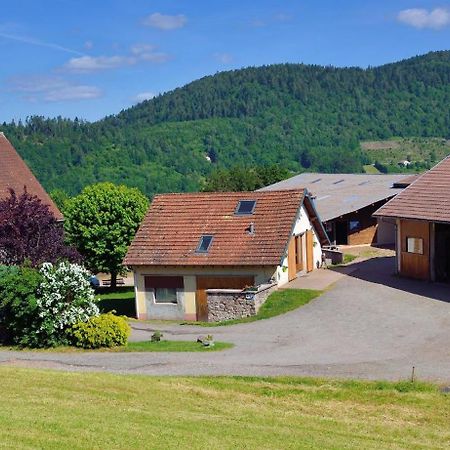 Chambres D'Hotes Hebergement F.Mathieu Saint-Maurice-sur-Moselle Kültér fotó